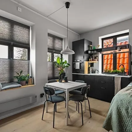Bright And Modern Right In The Center Bergen